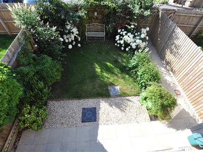 Picture 17